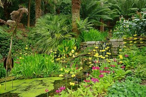 Ein üppiger Garten mit verschiedenen Pflanzen und Blumen, ein kleiner Teich und eine Steinmauer.