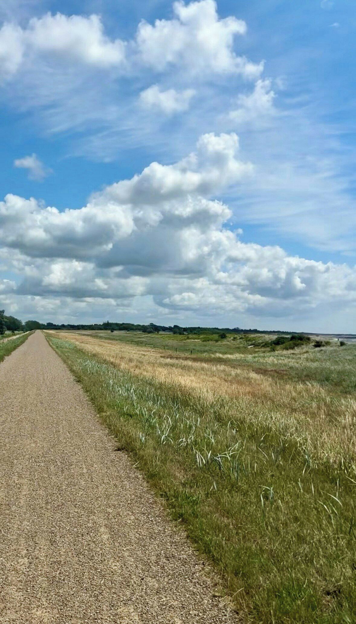 A rural road with a gravel path and grassy fields on either side.
