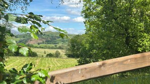 A wooden fence with a view of a green field and trees in the background. - Shepherd's Hut with mountain and valley views on the Mach Loop flightpath (Dolgellau)