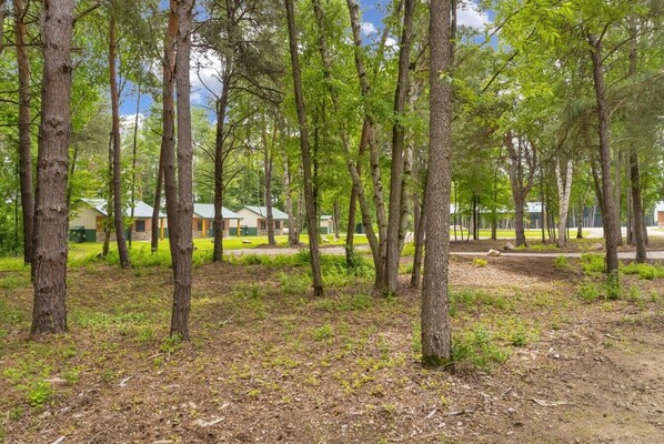 Un camping con varias cabañas, rodeado de altos árboles y un espacio cubierto de césped.