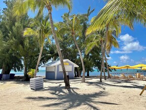 A beach with palm trees, a small building labeled 'ABIS BAR,' and beach chairs under yellow umbrellas. - Kai-Tastic 15B - 2BR Kaibo Condo with Pool and Beach (Rum Point)