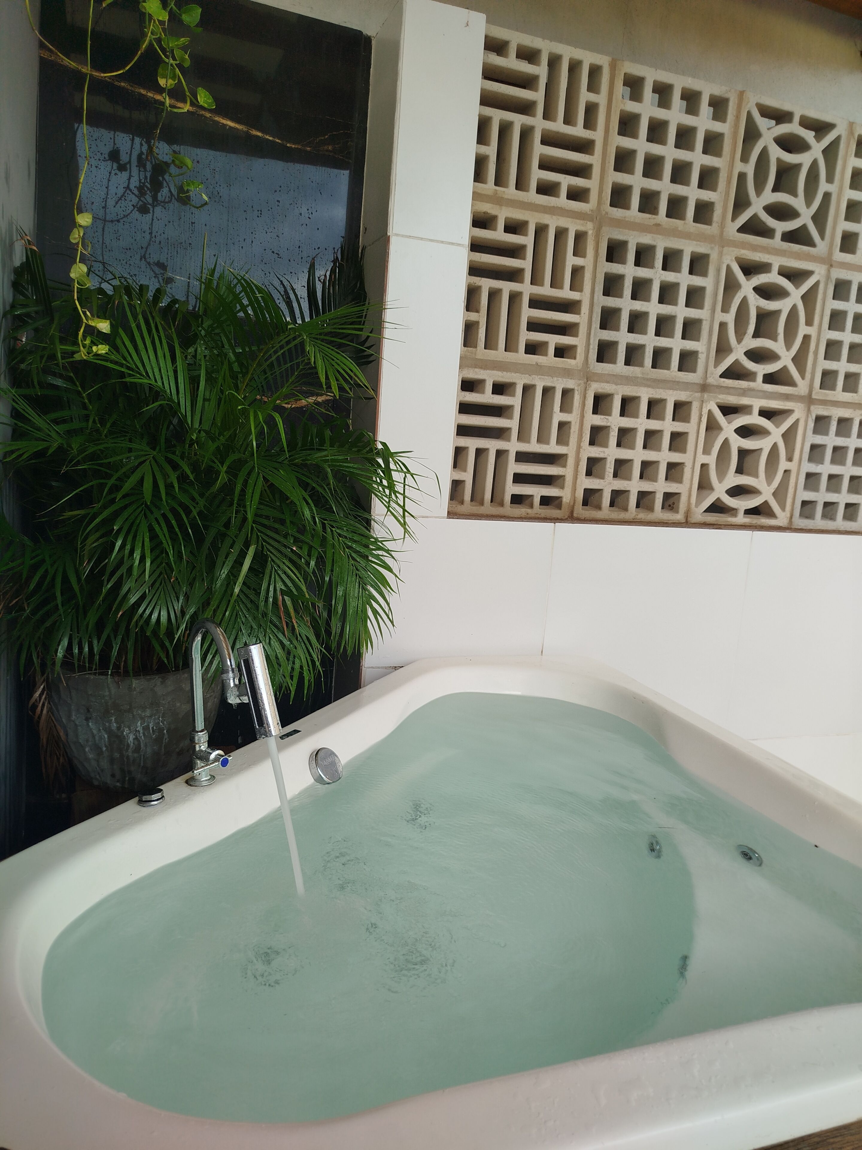 Une baignoire remplie d’eau, une plante en pot et un panneau décoratif mural.