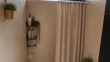 Regadera, toallas, jabón, papel de baño