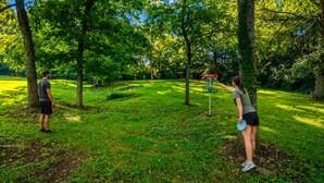 Two people playing frisbee in a park with trees and a grassy area.