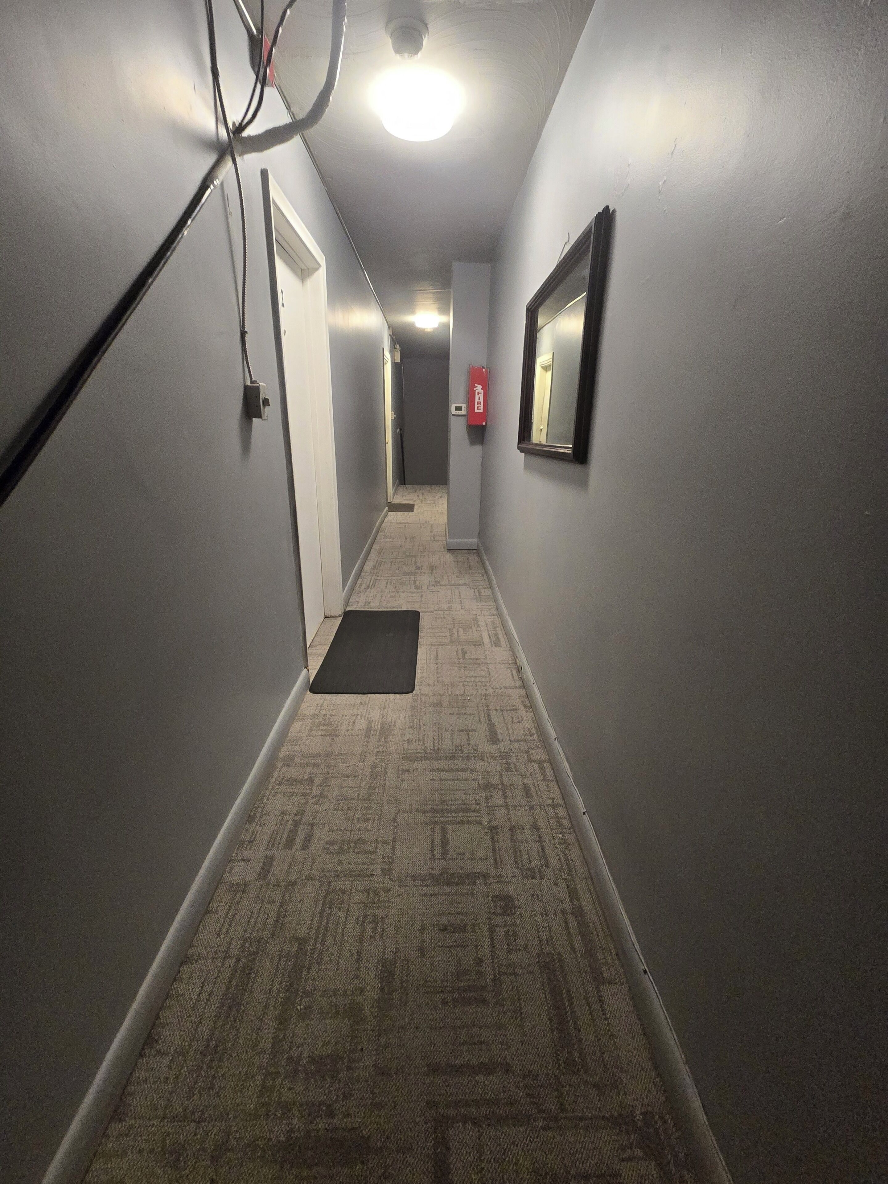 A narrow hallway with a carpeted floor, a black mat at the entrance, a fire alarm on the wall, and a ceiling light.