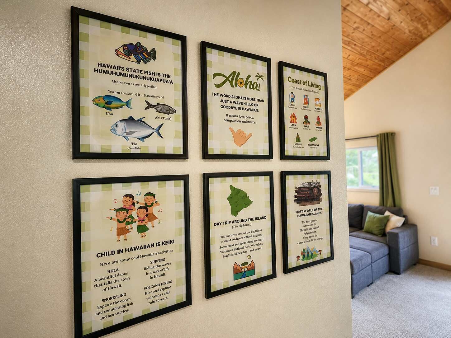 A wall with six framed informational posters about Hawaii.