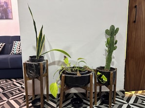 A room with a geometric patterned floor, a blue sofa with patterned cushions, and three potted plants on wooden stands. - Apt in Guadalajara Americana / Downtown • SuperFast Wifi • Walking rate 100% (Guadalajara)