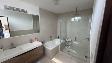 A modern bathroom with a large mirror, a double sink vanity, a bathtub, and a glass-enclosed shower area.