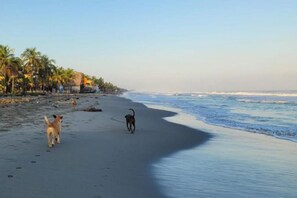Plage