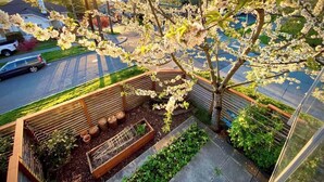 A rooftop garden with a tree, raised beds, and a view of the street. - Panoramic views on Beacon Hill, Seattle (Seattle)