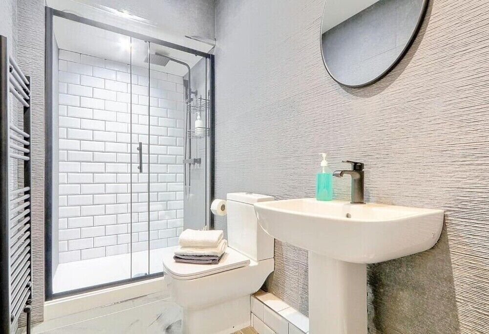 Shower, towels, toilet paper