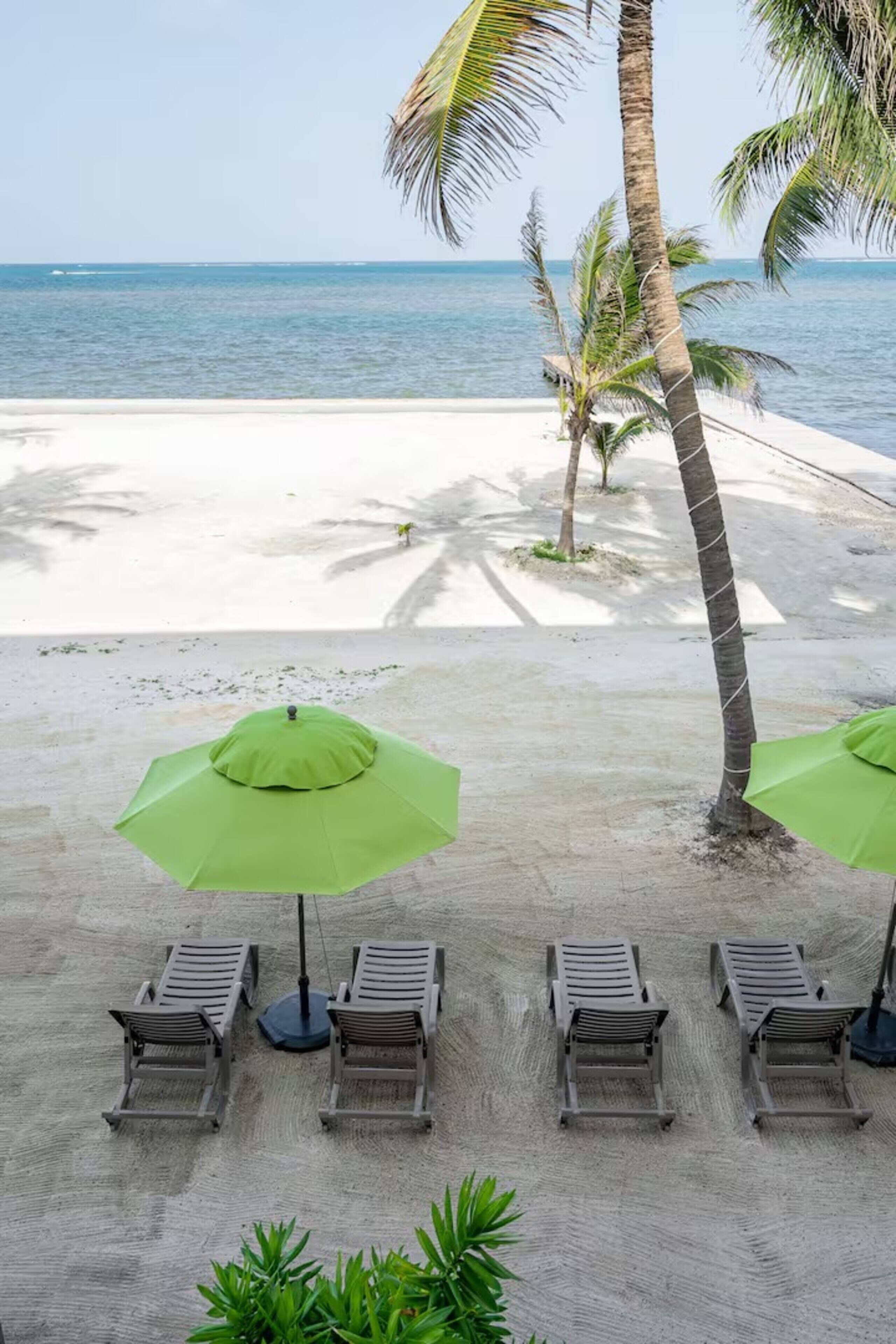 Une plage avec des chaises longues et des parasols verts, des palmiers, et une vue sur l’océan.