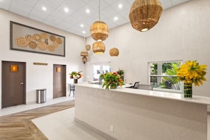 A reception area with a counter, wicker pendant lights, a framed artwork, and a window with a view.