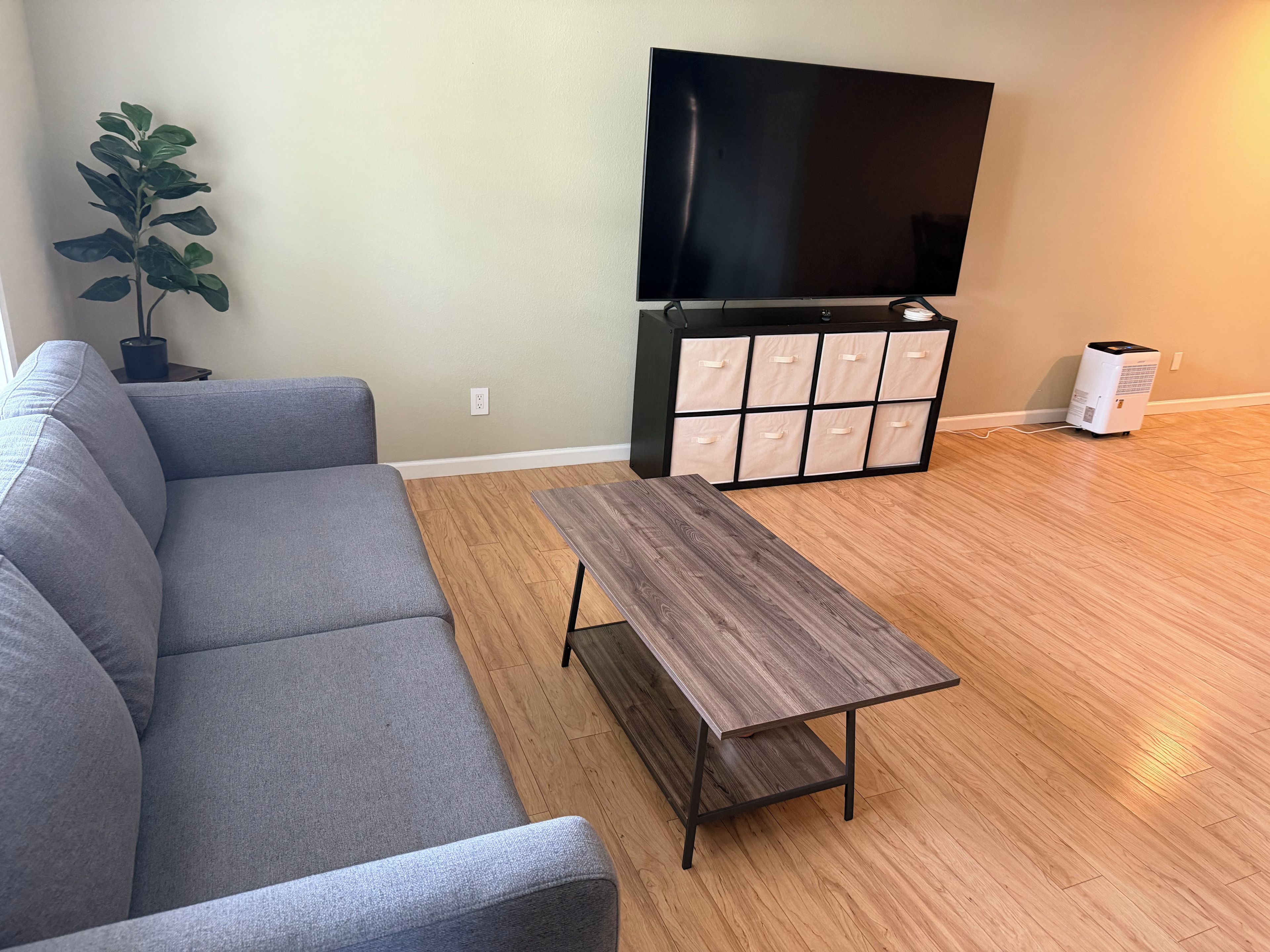 A living room with a grey sofa, a wooden coffee table, a TV, a storage unit, and a potted plant.