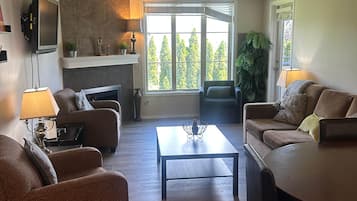 TV, fireplace