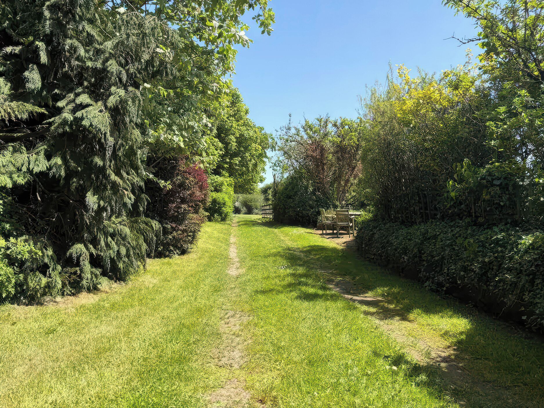 A pathway leading to a seating area surrounded by dense foliage.