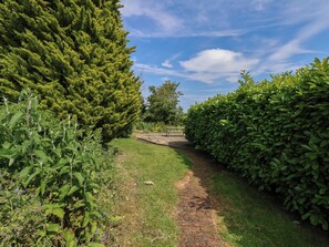 A pathway flanked by dense green hedges and a variety of plants. - Owl (Pickering)