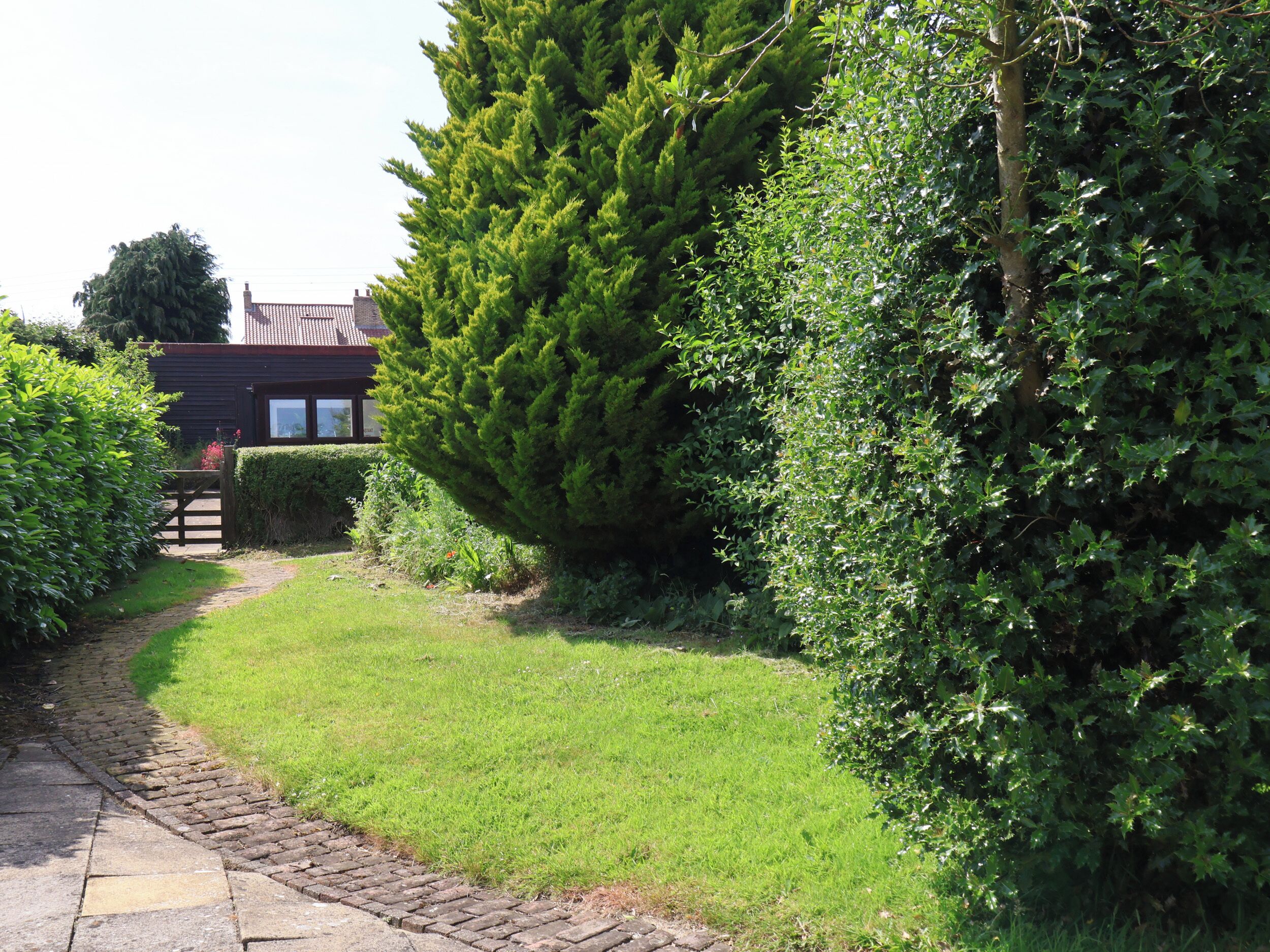 A pathway leading to a house with a well-maintained lawn and dense greenery.