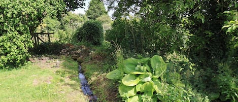 Ett naturskönt landskap med en liten bäck, tät vegetation och ett trästaket.