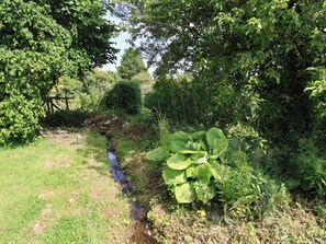 A natural landscape with a small stream, dense greenery, and a wooden fence. - Owl (Pickering)