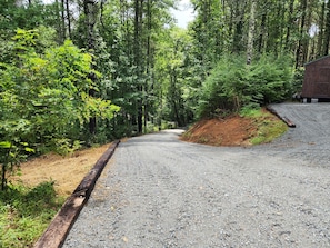 A gravel driveway leading to a wooden building surrounded by dense forest.