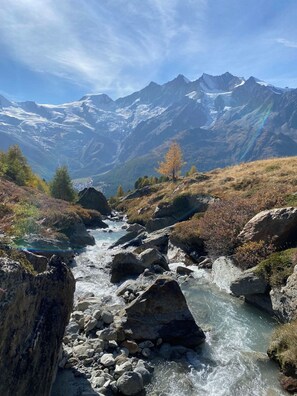 Miscellaneous - Bettina Wellness Appartement/Fewo Bettina 8 by Interhome (Saas-Fee)