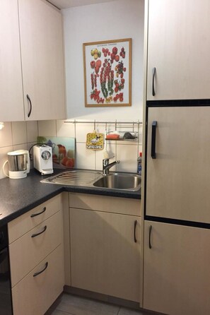 Eine Küche mit Spüle, Toaster, Wasserkocher und Kühlschrank.