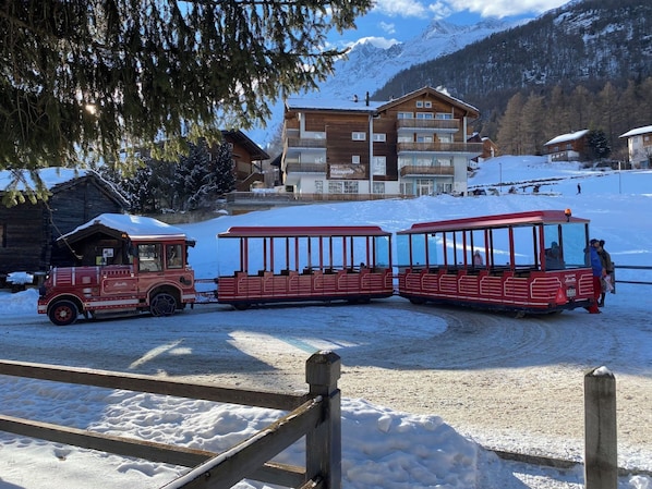 Exterior - Bettina Wellness Appartement/Fewo, Dusche oder Bad Bettina 3 by Interhome (Saas-Fee)