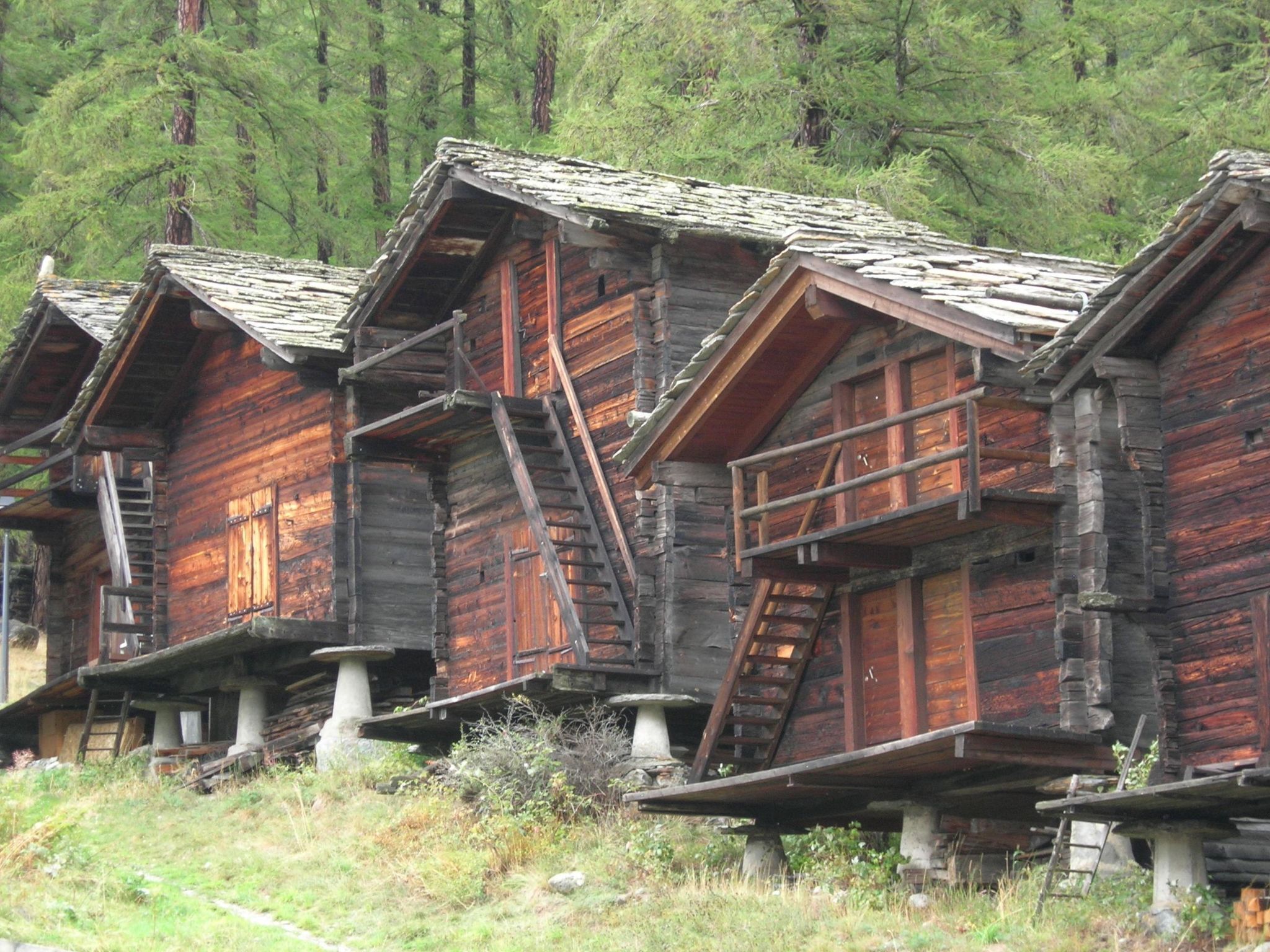 Eksteriør