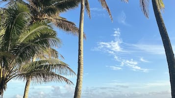 House, 3 Bedrooms, Smoking | Beach