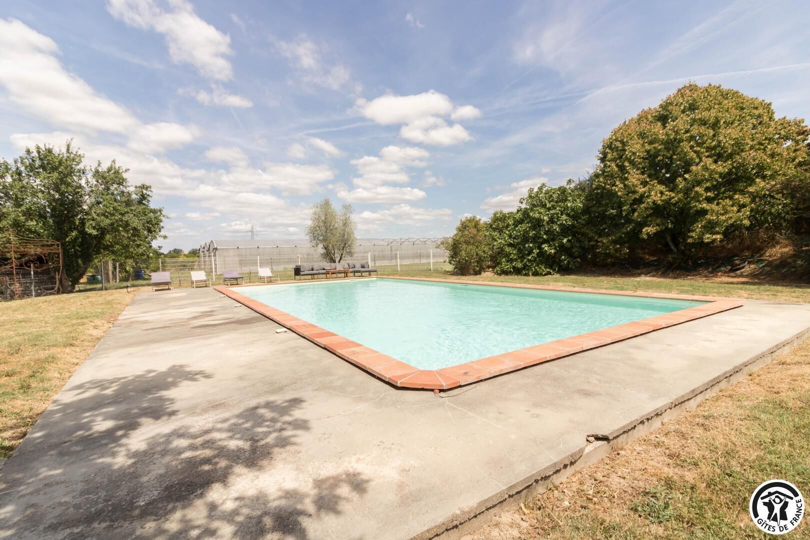 A rectangular swimming pool with a tiled edge, surrounded by a concrete deck.