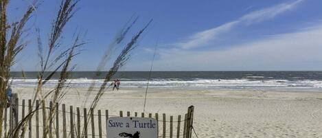 A beach with a sign that reads 'Save a Turtle Fill a Hole.'