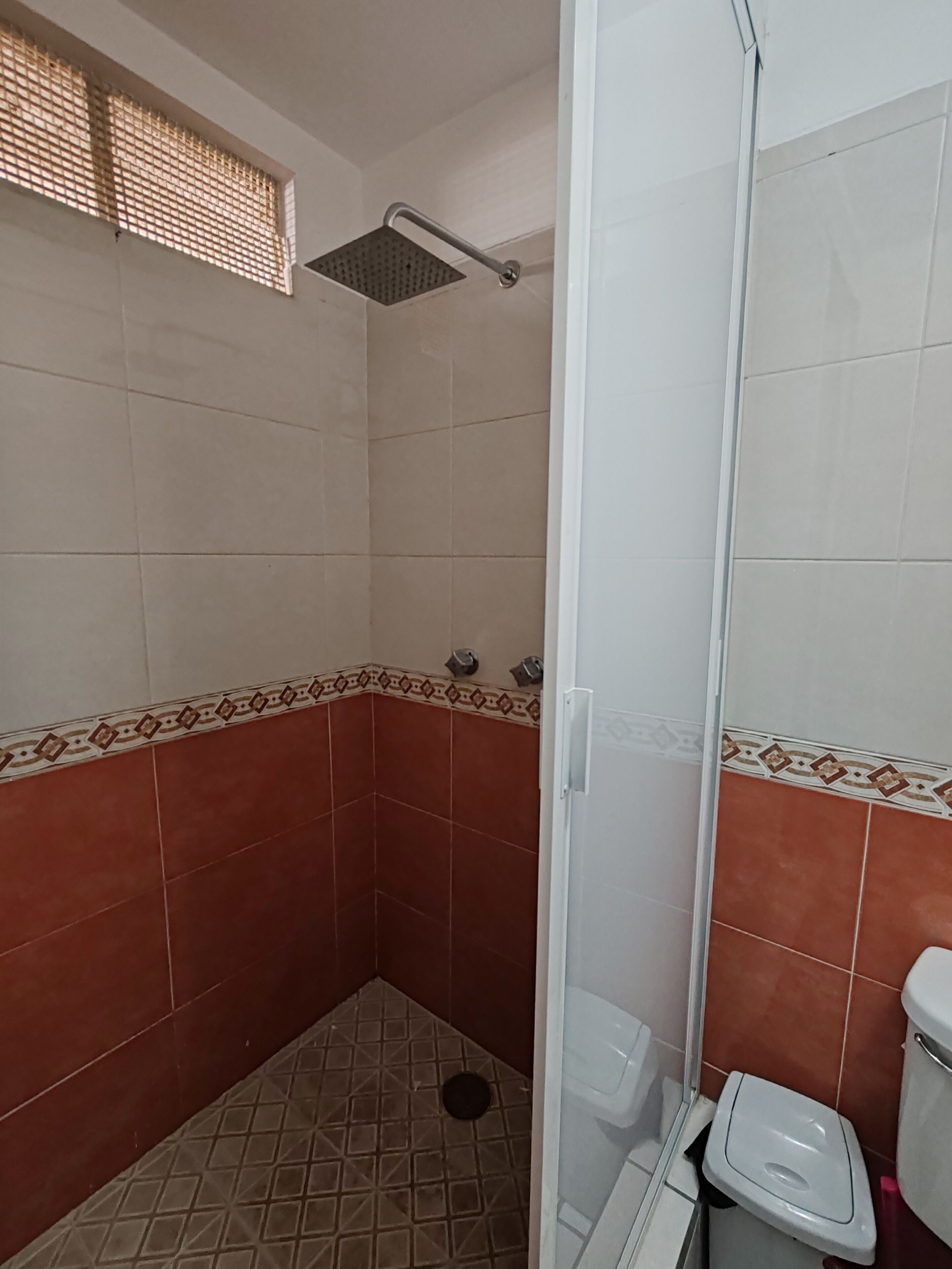 A small bathroom with a shower, toilet, and a corner sink.