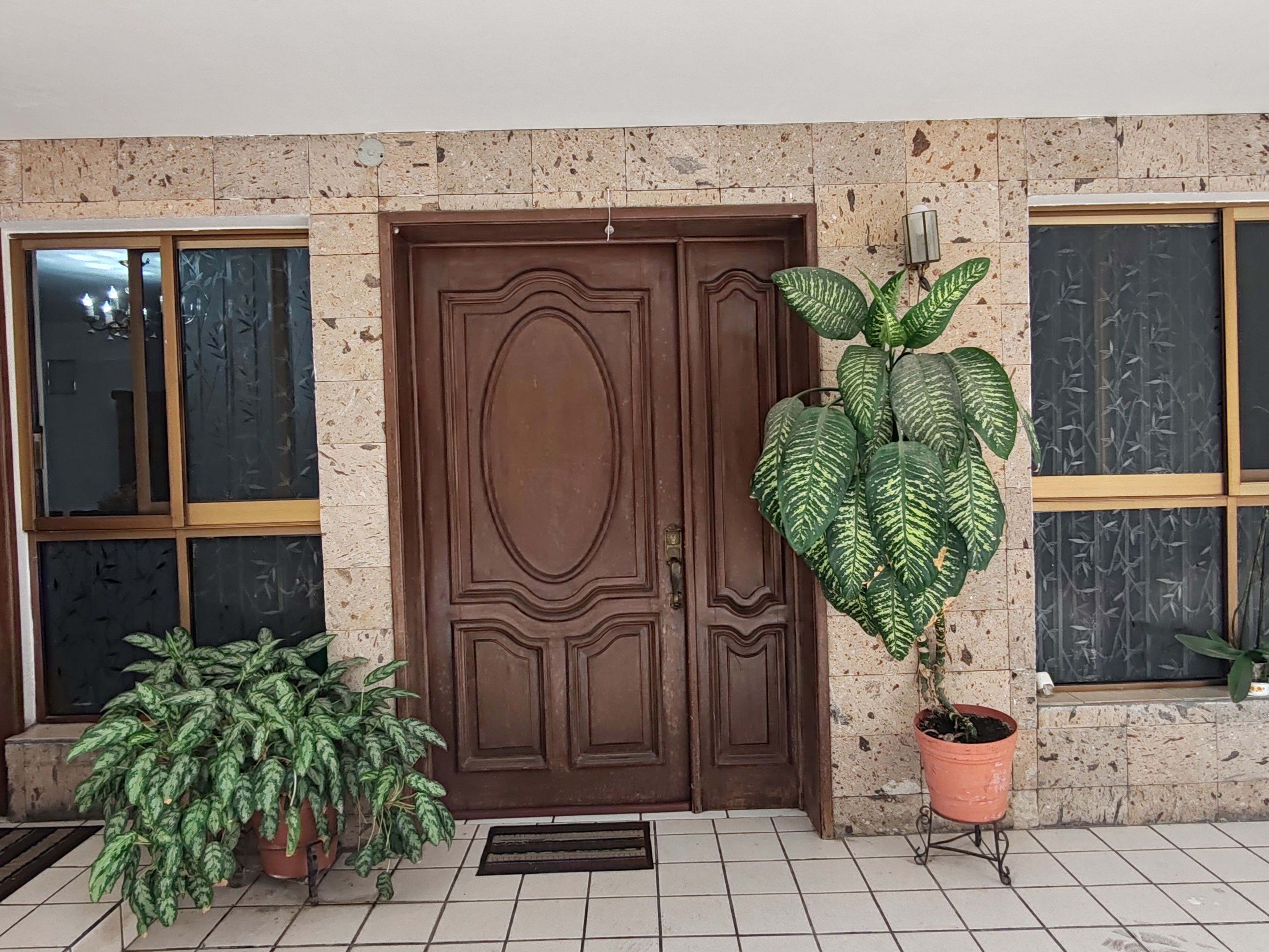 A brown double door with a decorative design, flanked by two windows with frosted glass and a potted plant with variegated leaves.