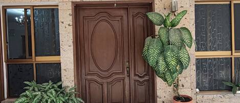 A brown double door with a decorative design, flanked by two windows with frosted glass and a potted plant with variegated leaves.