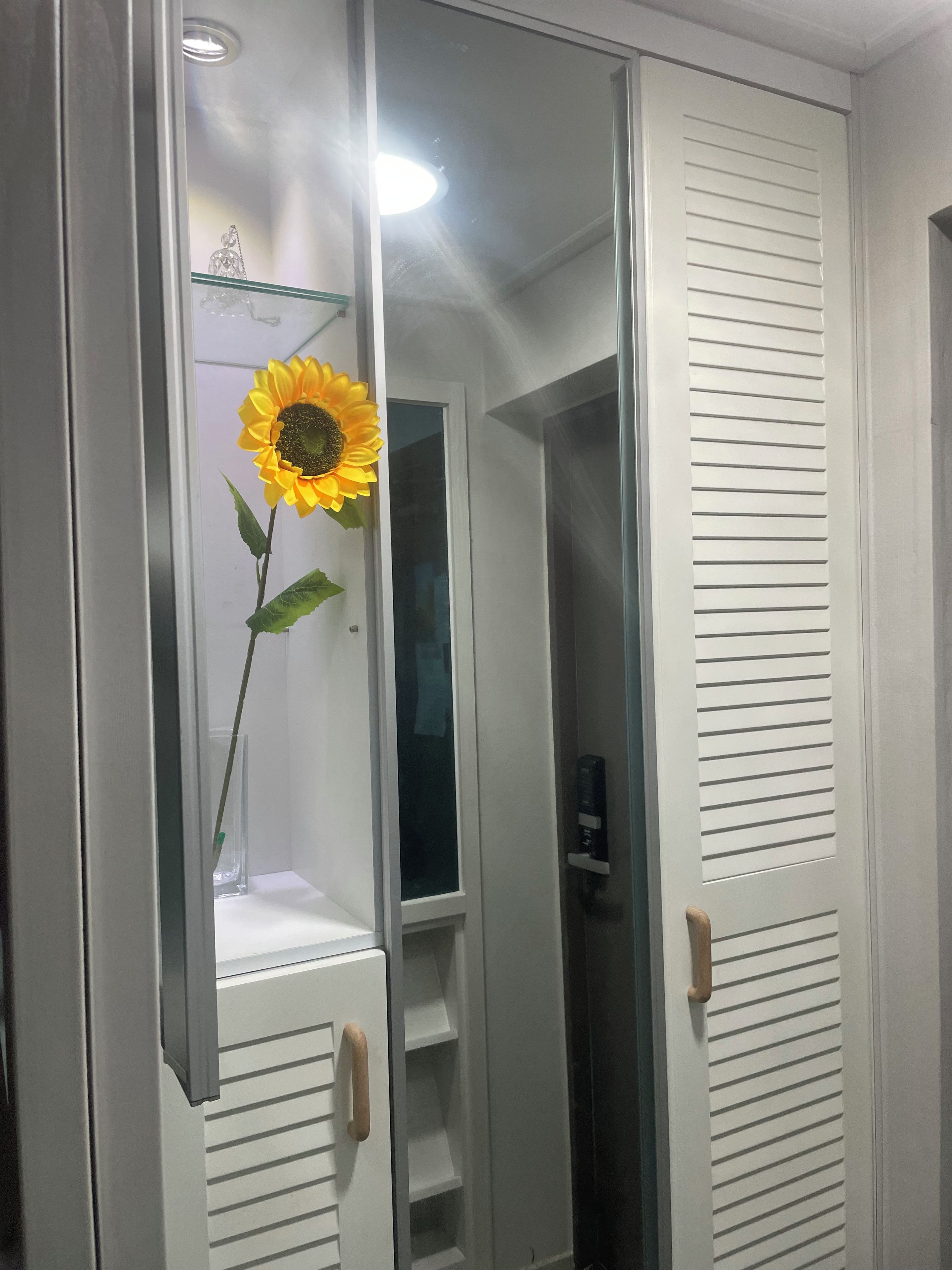 Una habitación con una puerta corrediza, un aparador de vidrio con un girasol, y un picaporte de madera.