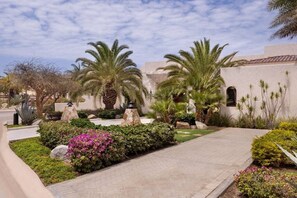 Un jardí paisatjistic amb palmeres, un camí pavimentat i un edifici amb façana d'estuc.