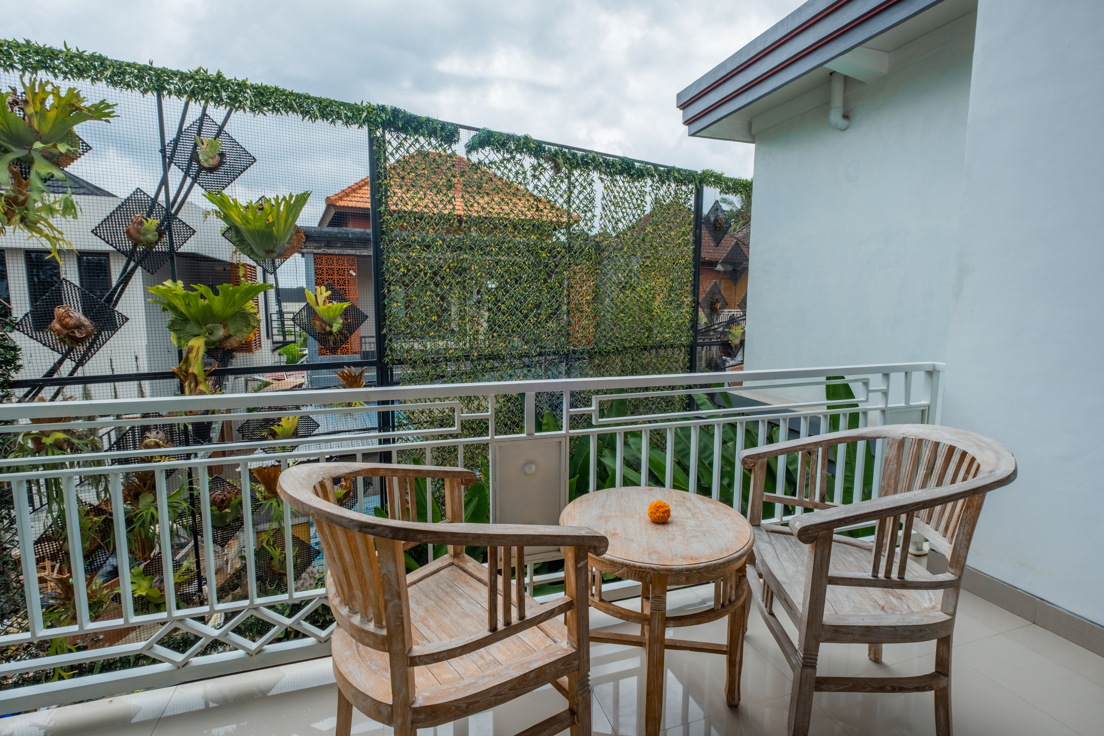 A balcony with two wooden chairs and a small table, surrounded by a white railing and a green climbing plant barrier.