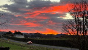 A rural landscape with a road, a fence, and a cow in the foreground. - Spacious 5 Bedroom House in Ngāhinapōuri Family Retreat (Ngahinapouri)
