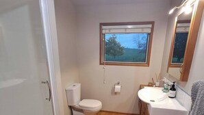 A bathroom with a toilet, a sink, a mirror, and a window. - Spacious 5 Bedroom House in Ngāhinapōuri Family Retreat (Ngahinapouri)