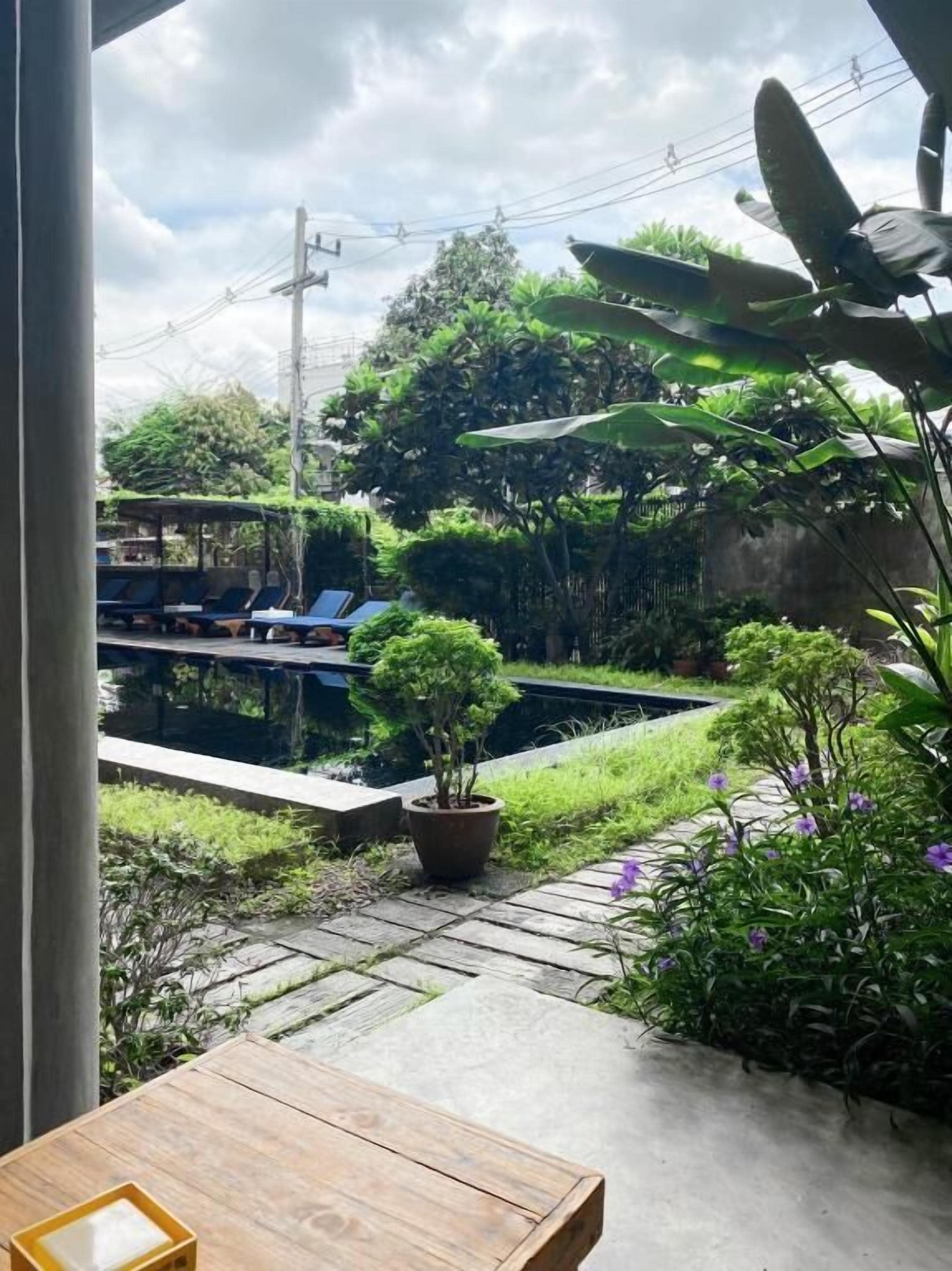 A patio with a table, a small garden with a potted plant, and a view of a swimming pool and lounge chairs.