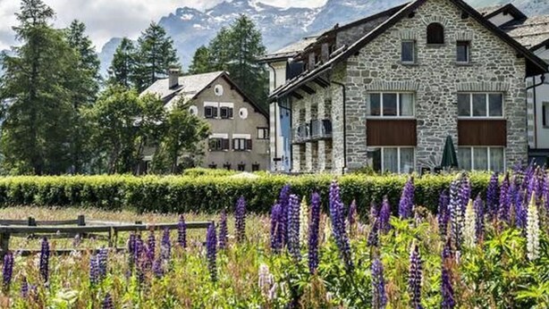 Un edificio de piedra con techo inclinado, rodeado de un jardín cuidado con flores moradas.