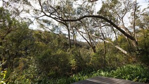 Une terrasse en bois offrant une vue sur une forêt dense.