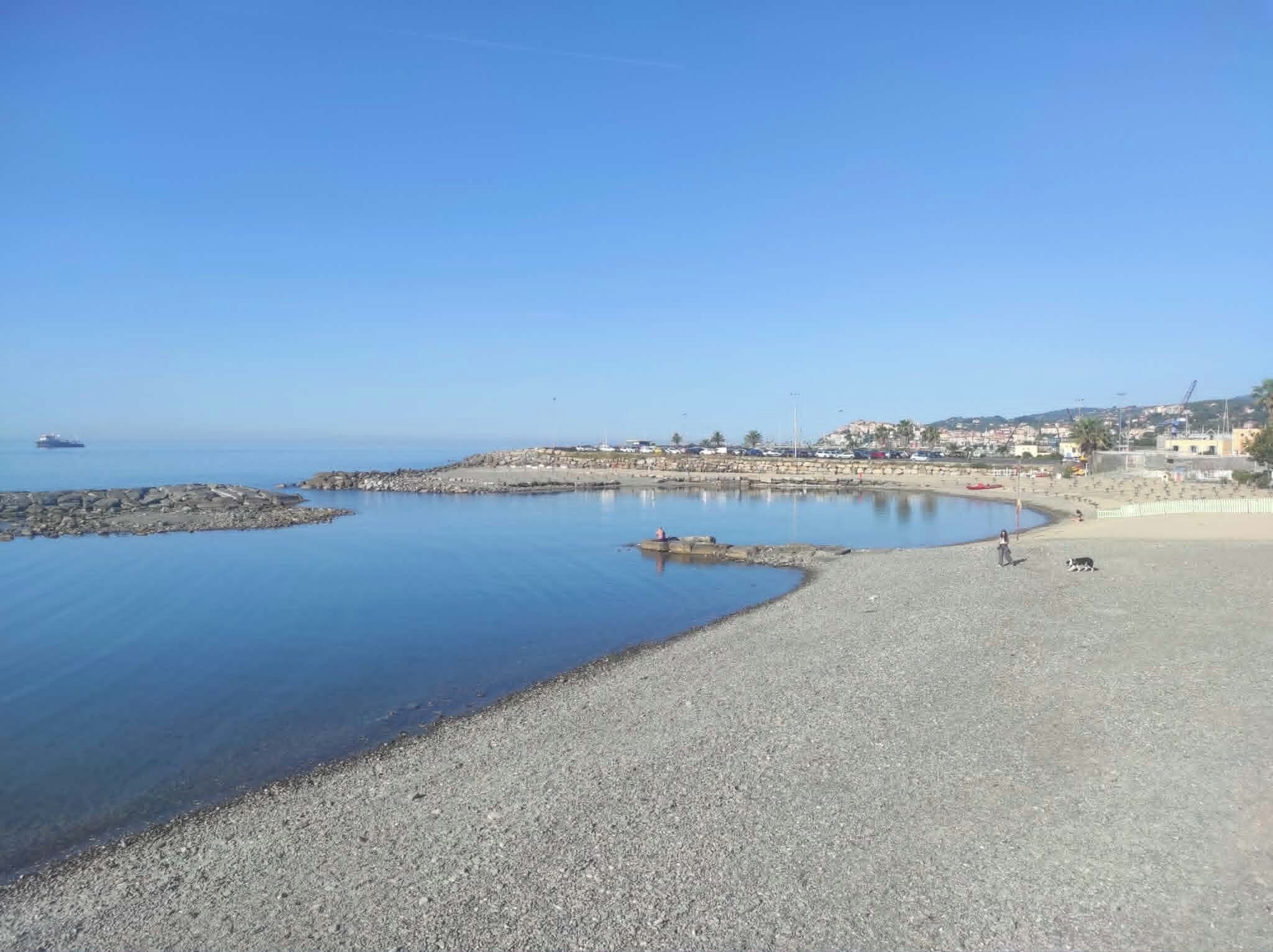 Lettini da mare
