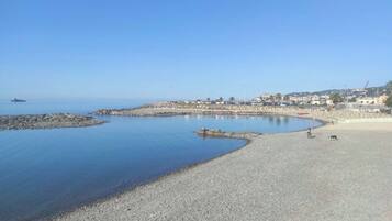Lettini da mare