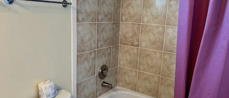 A bathroom with a toilet, a bathtub, and a shower.