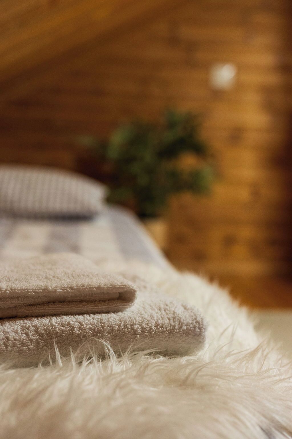 Comfort-mökki, 2 makuuhuonetta | Silitysrauta/-lauta, vauvansängyt, ilmainen Wi-Fi, vuodevaatteet