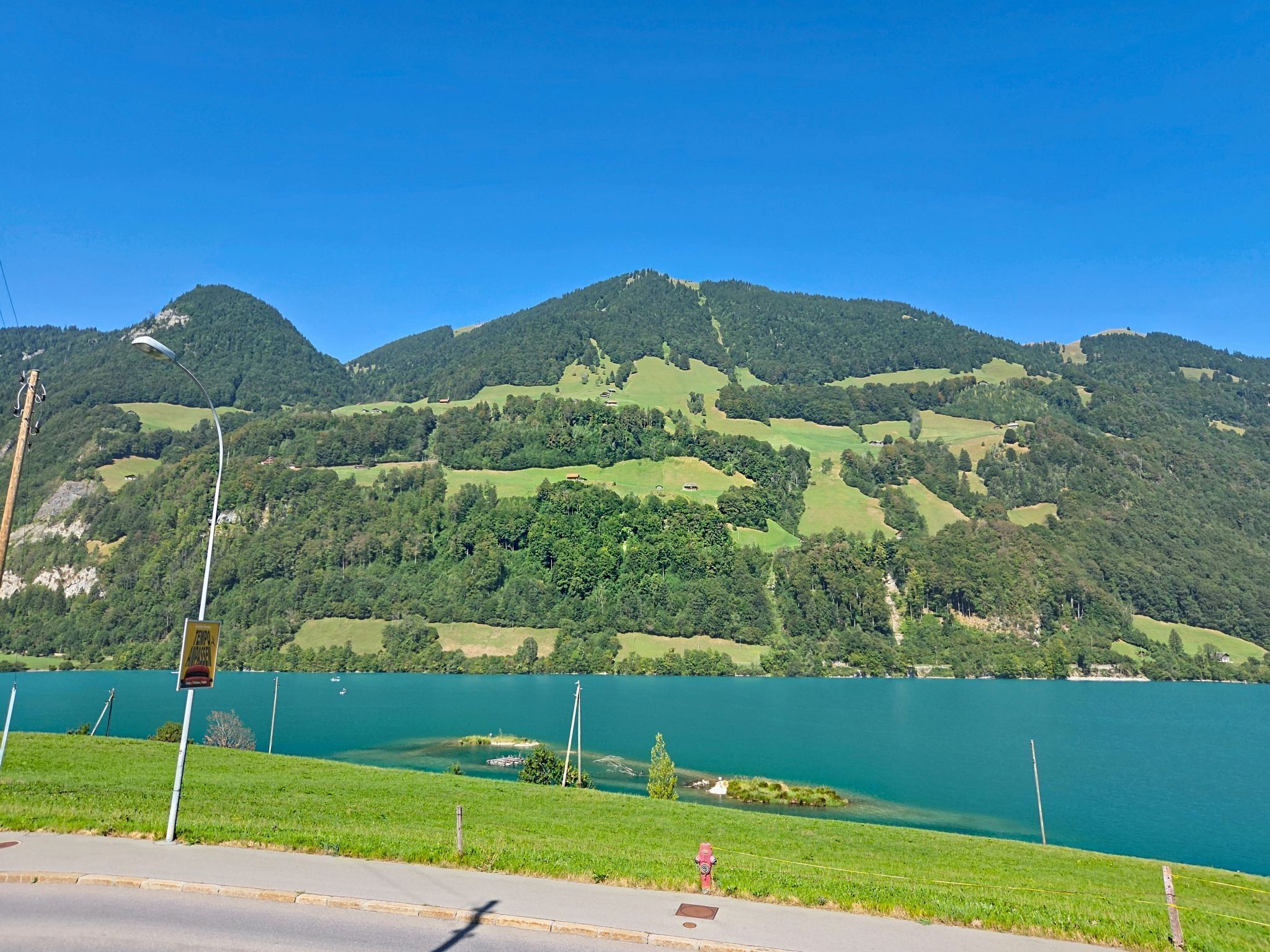 A lakeside view with a road, a fire hydrant, and a signpost.