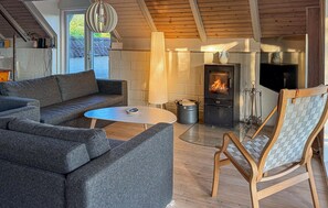 Smart-TV, Kamin