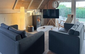 Smart-TV, Kamin